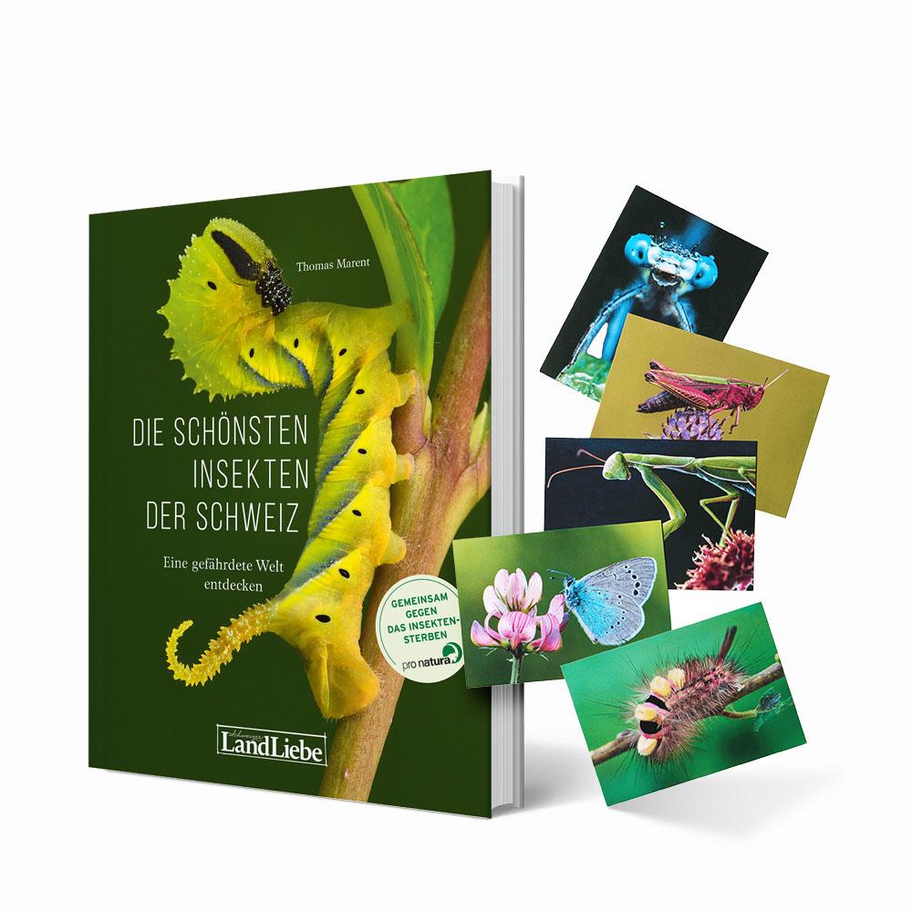 «Die schönsten Insekten der Schweiz» und Postkarten-Set