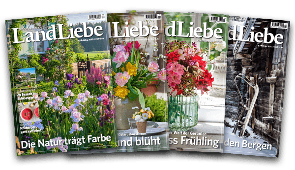 Lal Magazine 600x346 <h2><span id="9eb20874-52f2-4dfb-8ada-bed8db8cfd68">Bequem nach Hause geliefert</span><span id="9eb20874-52f2-4dfb-8ada-bed8db8cfd68"> </span></h2>
<p>Alle Ausgaben der Schweizer LandLiebe inklusive einer umfangreichen Sommerferienausgabe und einer gehaltvollen Weihnachtsausgabe erhalten Sie direkt in Ihren Briefkasten. Zudem haben Sie jederzeit auch von unterwegs Zugriff auf das LandLiebe-eMagazin via App und im Webreader.</p>